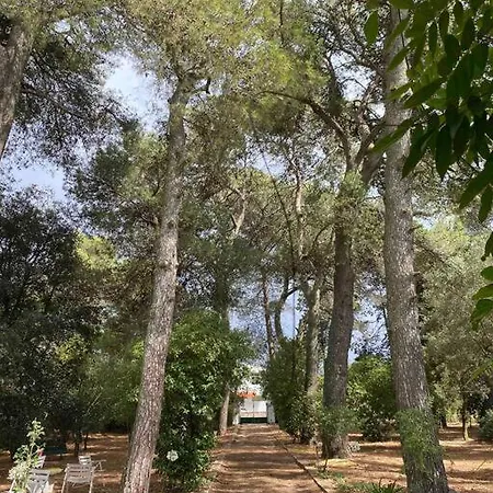 Trullo Rosa Hébergement de vacances